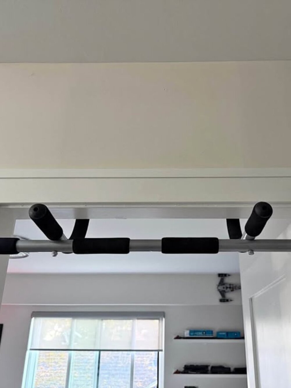Alley Peaks Doorframe Pull up Bar